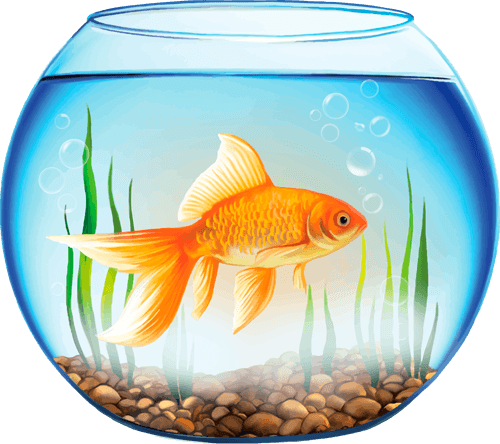 Australian game icon imported for Aquarium.