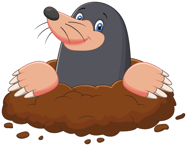Australian game icon imported for Whack-a-mole.